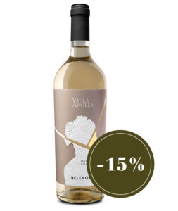 Selection_Chardonnays5